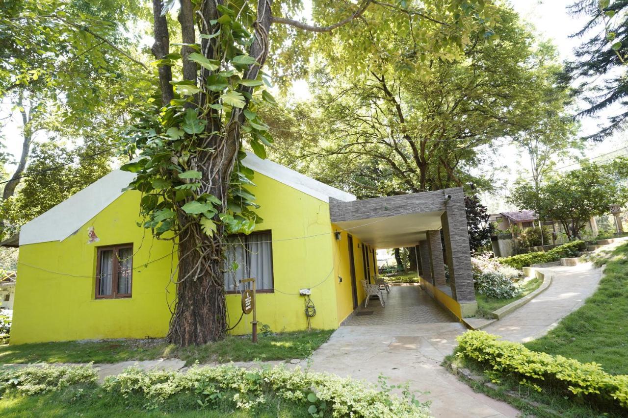 Zeenath Taj Gardens 耶拉吉里 外观 照片