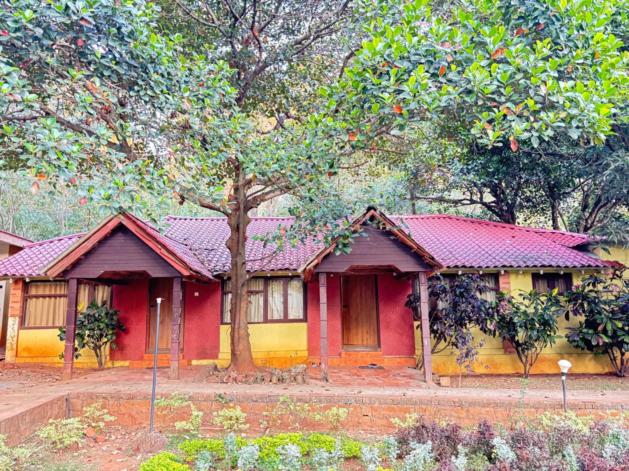 Zeenath Taj Gardens 耶拉吉里 外观 照片